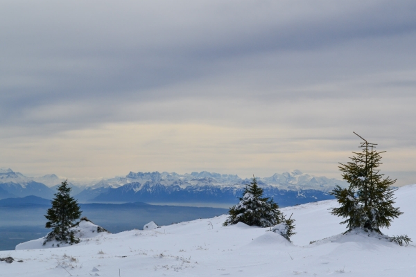 Schneeschuhwanderung auf den Chasseron