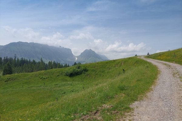 Zwischen Emmental und Berner Oberland