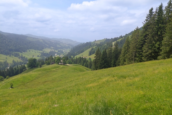 Tra l’Emmental e l’Oberland bernese