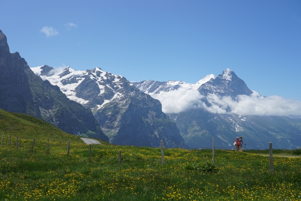 Sentier panoramique vers la Grande Scheidegg