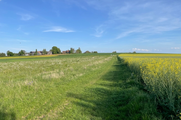 Idylle im hohen Norden