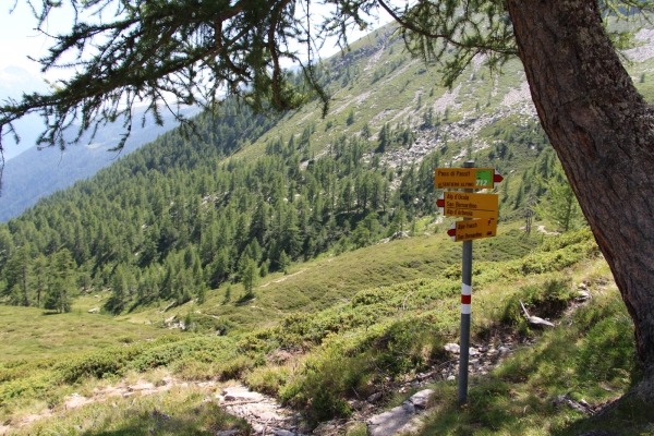 Bergschule pontresina torrentz