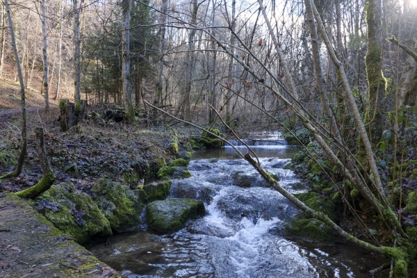 Im Baselbieter Tafeljura von Dorf zu Dorf