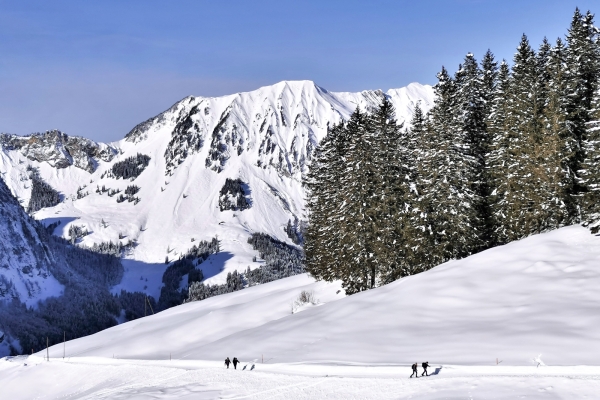 Wintersonne im Engelbergertal