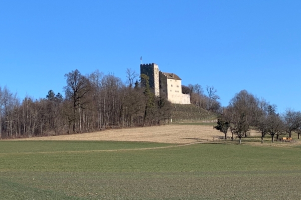 Eine Burg und ein Schloss im Aargau
