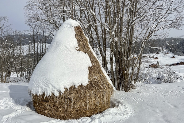 Winteridylle bei Gstaad