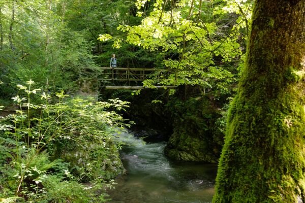 Üppiger Wald und ein Wasserfall im Malcantone