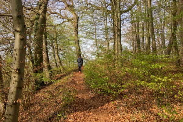 Wandern mit Weitsicht hoch über dem Rhein