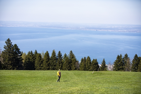 Unterwegs zwischen Bodensee und Säntis