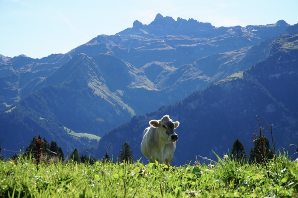 De Braunwald au lac d’Oberblegi