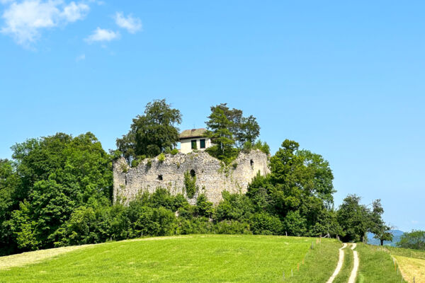 Di castello in castello alle porte di Basilea