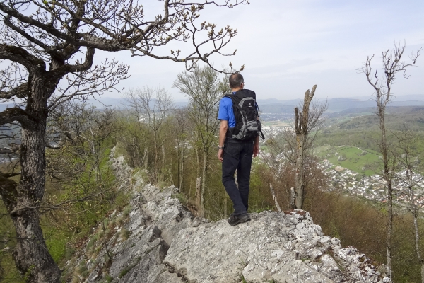 Sur la crête du Lägern