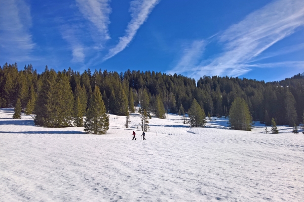 Schneeschuhtour am Col des Mosses