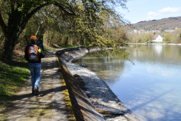 Frühlingswanderung am Hochrhein 