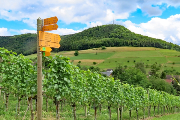 Boucle autour d’Osterfingen