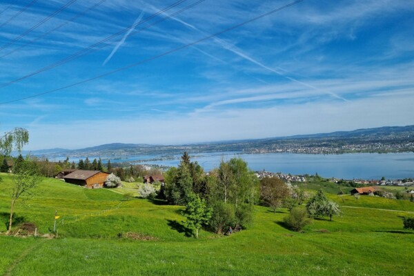 Halbtageswanderung: Durch das Spreitenbach-Tobel zum Vorderberg