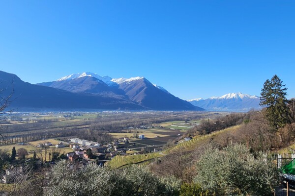 Quattro passi in collina