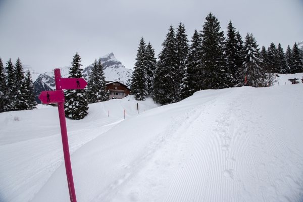 Verschneite Alp in Engelberg
