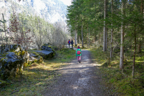 Vom Simmental zum Thunersee