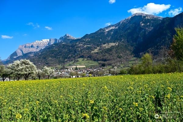Angebot Krebsliga Graubünden: Frühsommer in der Herrschaft