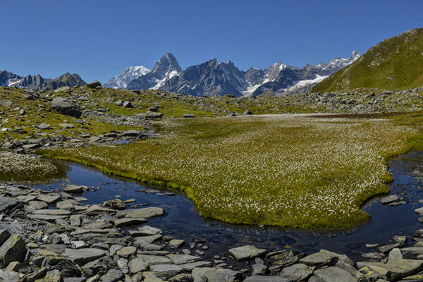 Ouest sauvage du Valais