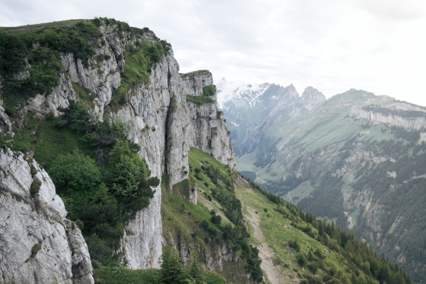 Alpstein: entre prairies et panorama