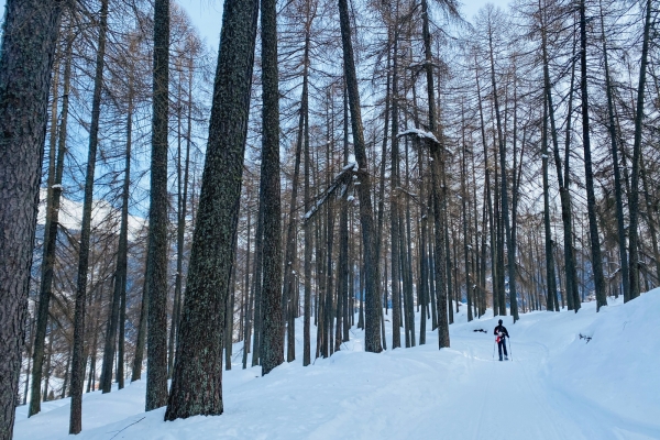 Schneeschuhtour in der Leventina
