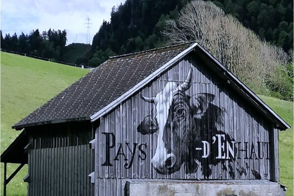 51. Röstigraben: 11. Etappe, Montbovon - Château d'Oex