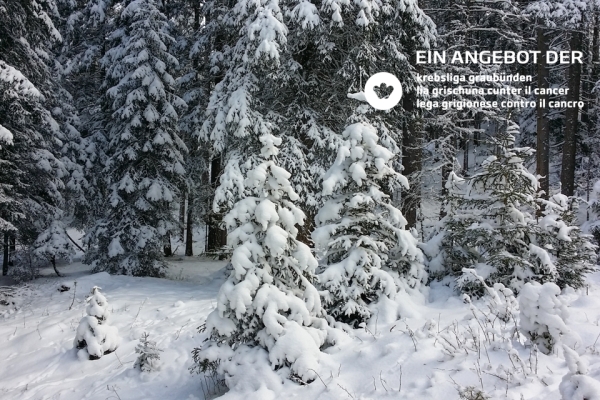 Angebot Krebsliga Graubünden: Winterwunderland am Crestasee