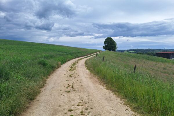 Vivere la quiete lungo il sentiero alto del Giura nell’Ajoie