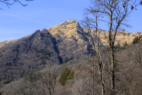 Dans les forêts de l’Alto Malcantone