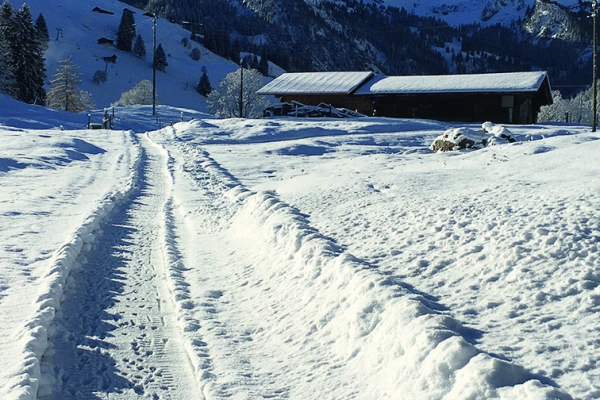 Schneeschuhtage Diemtigtal - das Toureneldorado der Berner