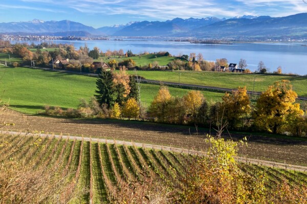 Du joli lac de «glace morte» au lac de Zurich