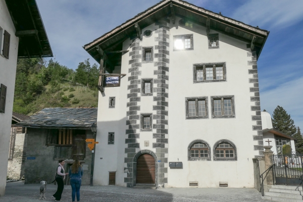 Trionfo di fiori nella valle di Turtmann