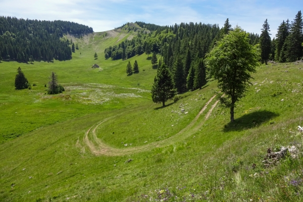 Aventure au sommet dans le Jura vaudois