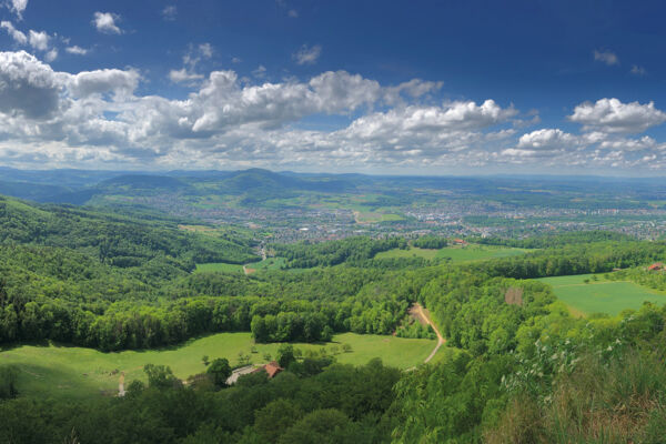 Durchs nordwestschweizer Kirschenparadies