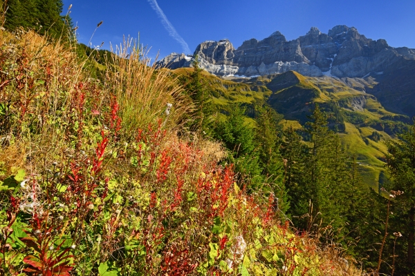 Au pied des Dents du Midi