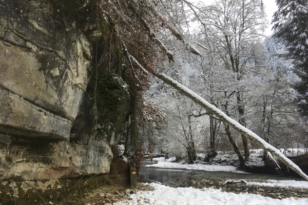 Dans les gorges de la Schwarzwasser