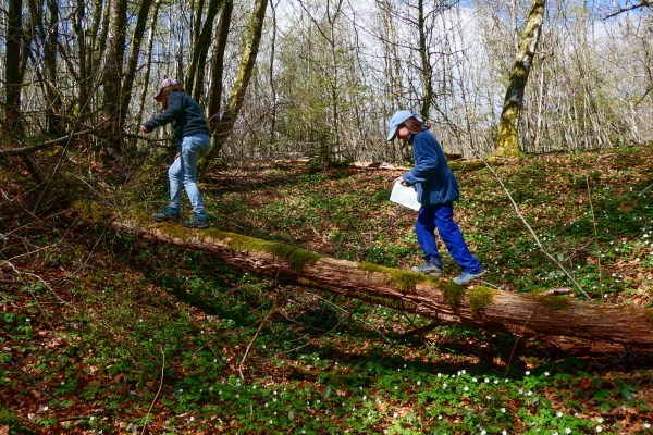 A saute-frontières entre Damvant et Réclère