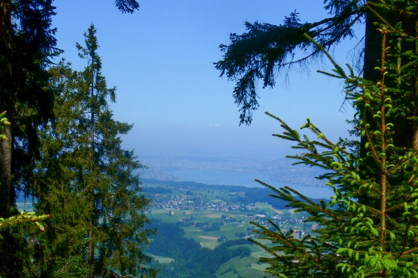 Prendre de la hauteur 