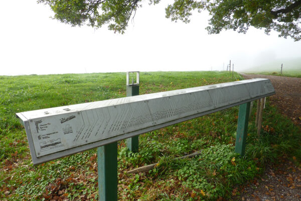 Thurgauer Rebenweg