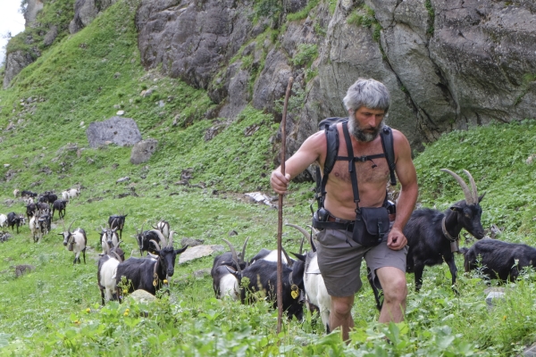 La vallée sauvage de l’Erstfeldertal