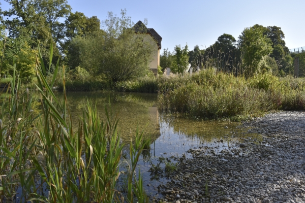 De la presqu’île au lac de Neuchâtel