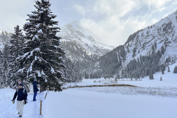 Hiver idyllique près de Gstaad