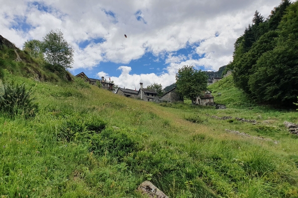 Gli antichi sentieri della Vallemaggia