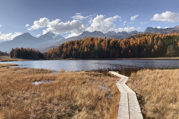 Randonnée près de lacs et mélèzes lumineux