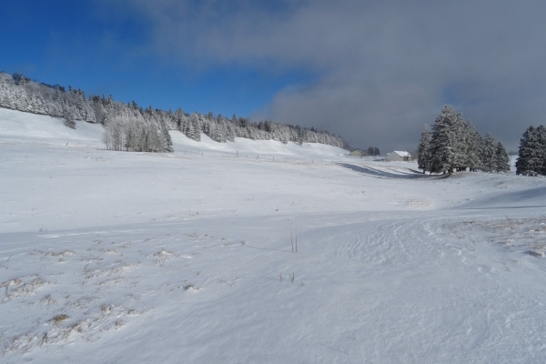 Schneeschuhtour auf dem Grenchenberg
