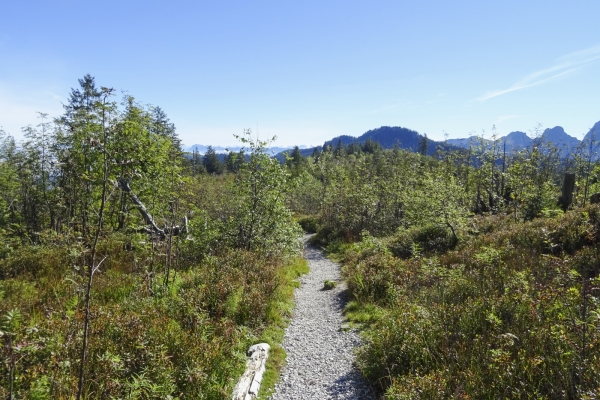 Sentier d’altitude dans la région du Gantrisch