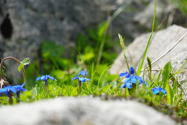 Unterwegs in der Moorlandschaft