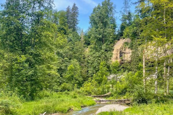 Familienwanderung durch die lauschige Wissbachschlucht